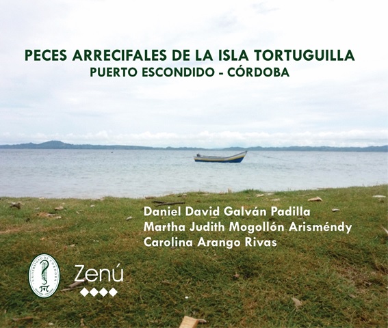Peces arrecifales de la Isla Tortuguilla en Puerto Escondido, Córdoba, Colombia
